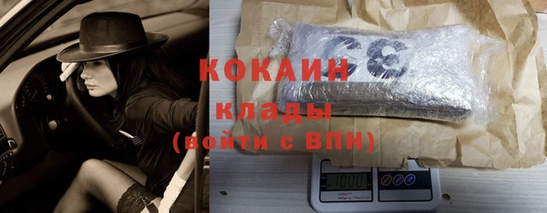 индика Нягань