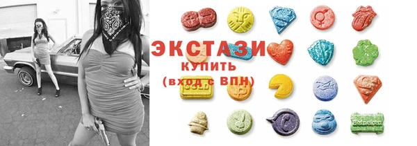 индика Нягань