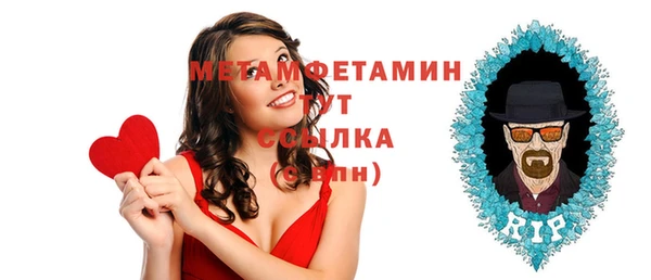 индика Нягань