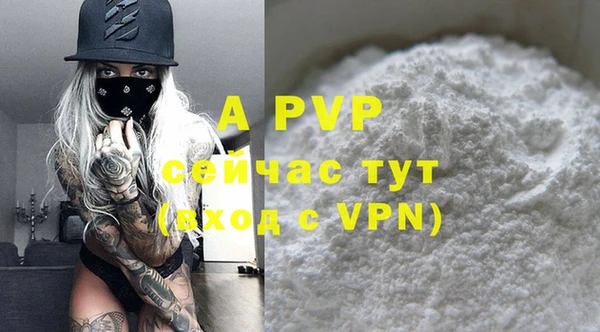 индика Нягань