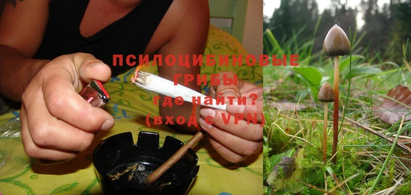 ALPHA-PVP Няндома