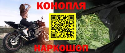 стаф Волгодонск