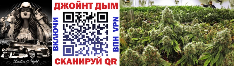 Конопля сатива  Грязи 
